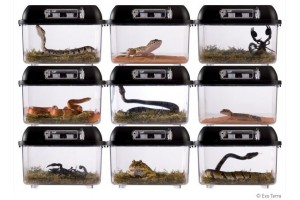 Breeding Box